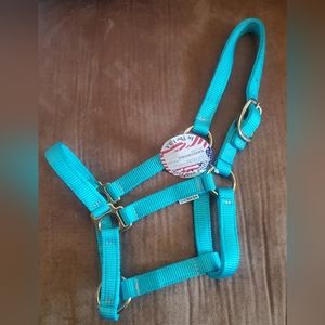 Turquoise Weanling/small pony Halter